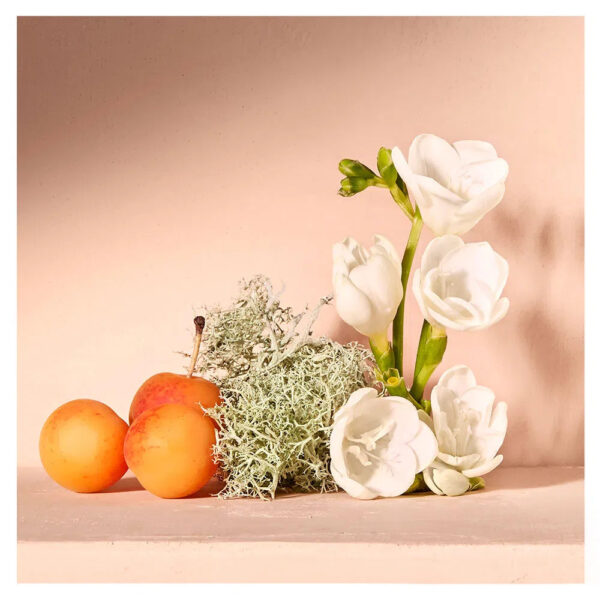 Nomade Chloé - Parfum Femme - Eau de Parfum - Image 3