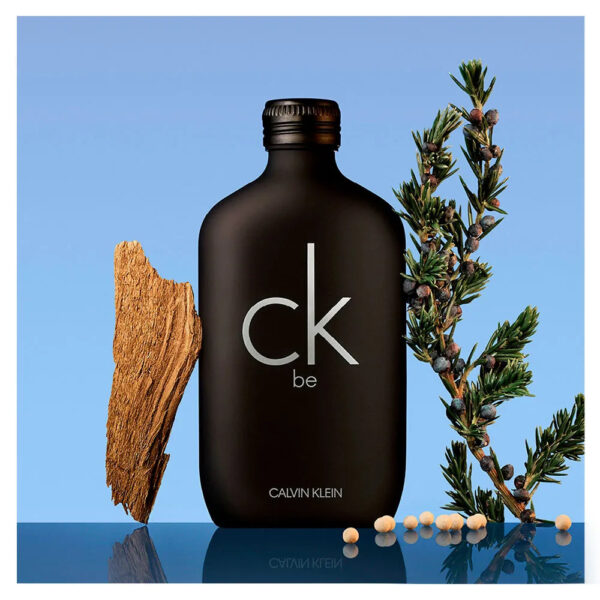 Ck Be de Calvin Klein - Parfum Unisexe - Eau de Toilette - Image 3